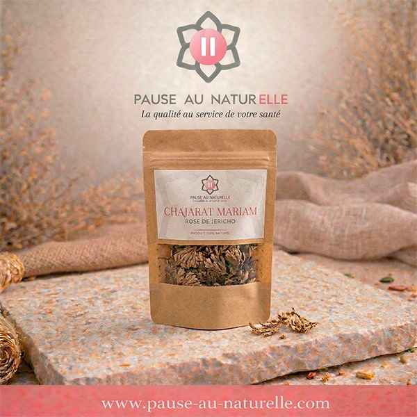 Rosa de Jericó - Chajarat Mariam