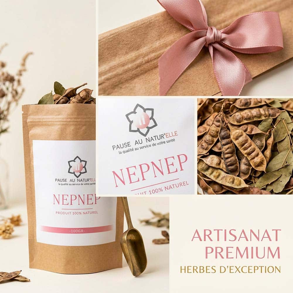 Nep Nep – Ganze Schoten der Acacia nilotica aus der Sahelzone – 100 g – Informationen